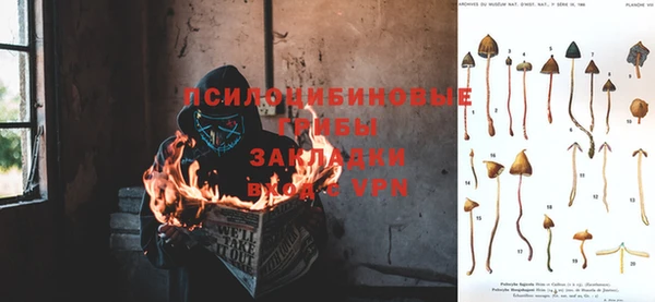 кокс Алексеевка