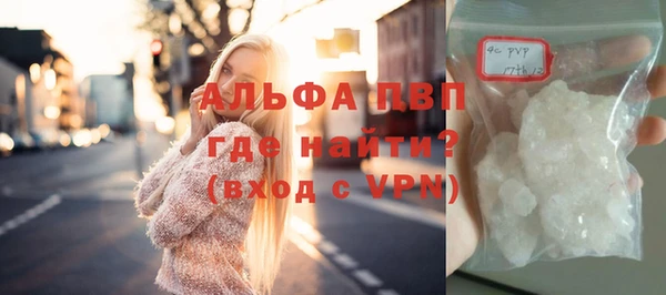 СК Алексин