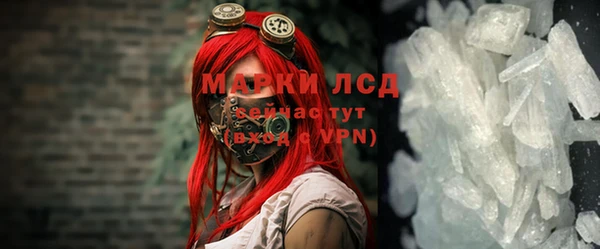 СК Алексин