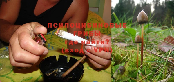 а пвп мука Алзамай