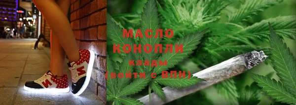 СК Алексин